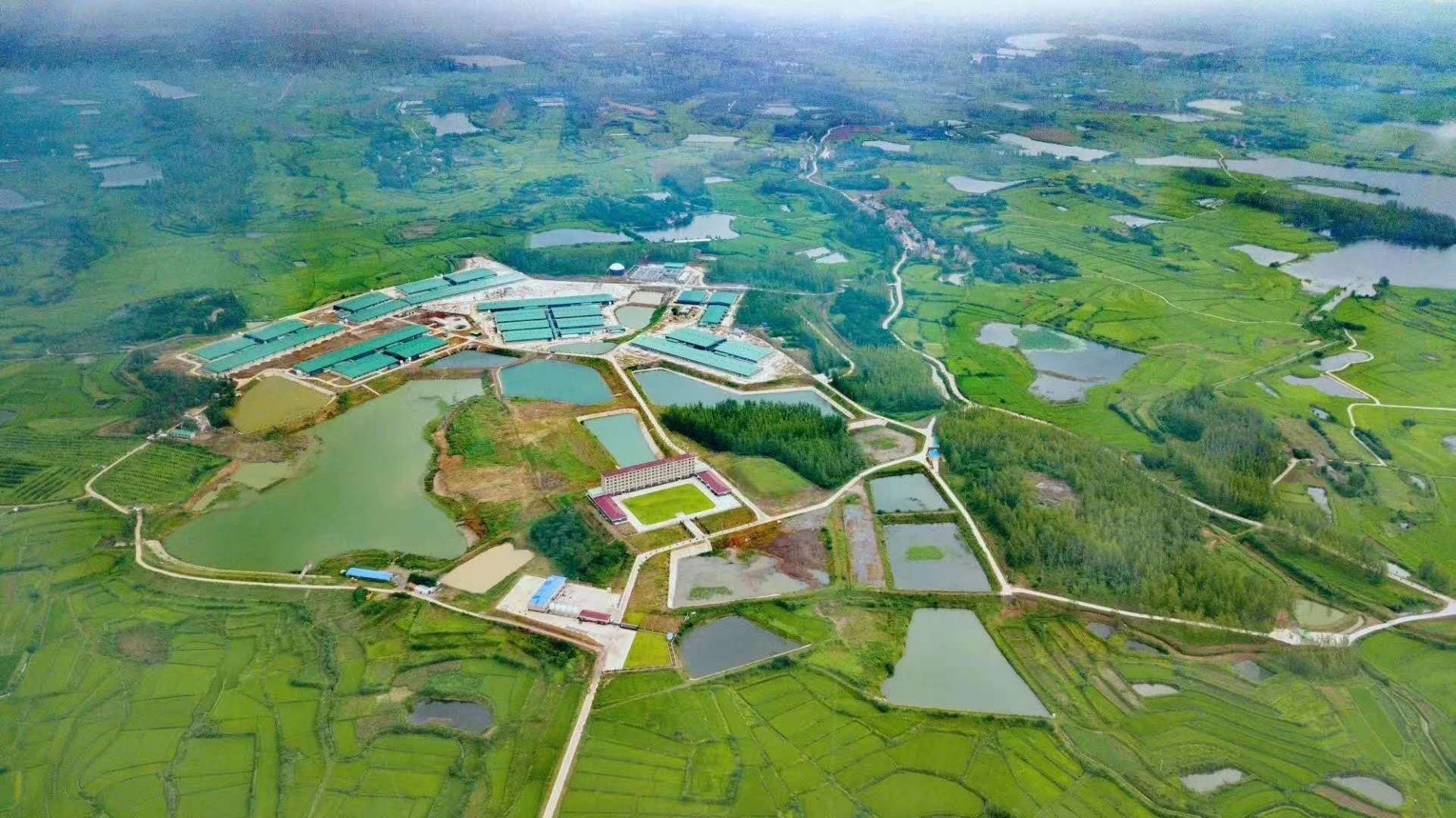 9001诚信金沙(中国)有限公司