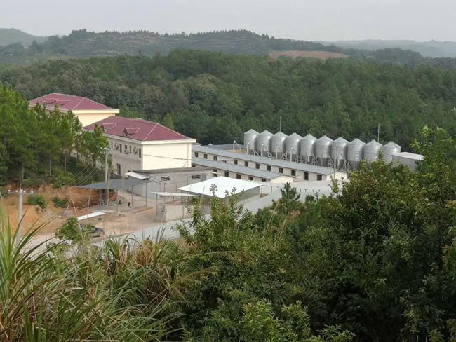 9001诚信金沙(中国)有限公司