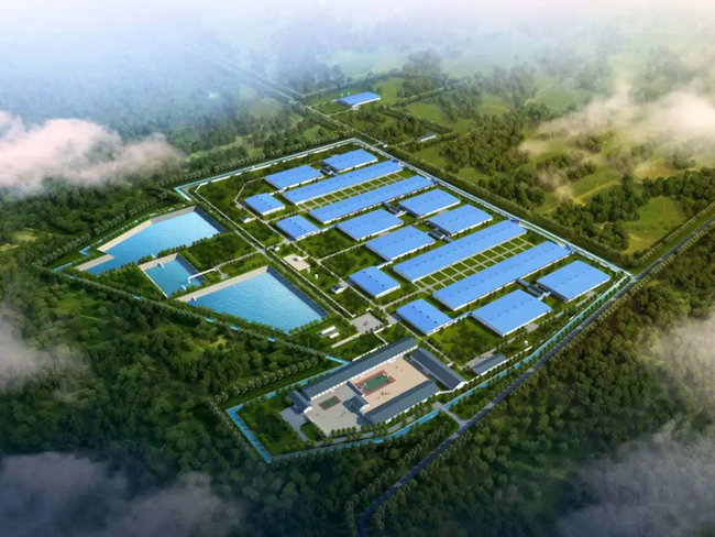 9001诚信金沙(中国)有限公司