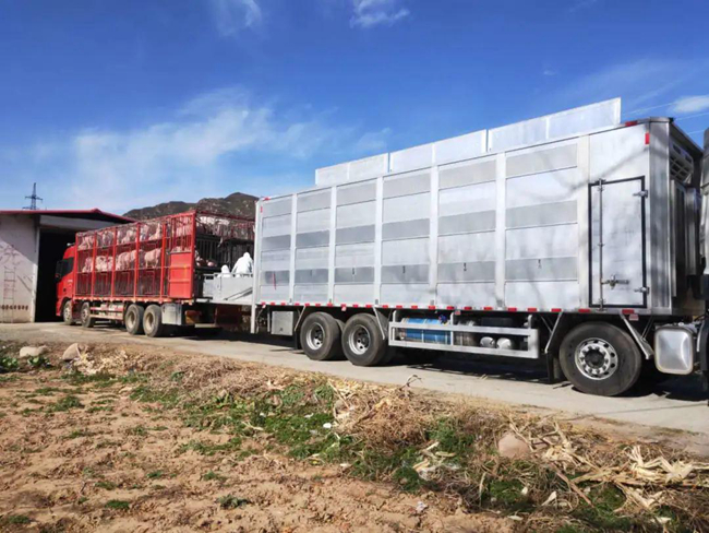 9001诚信金沙(中国)有限公司